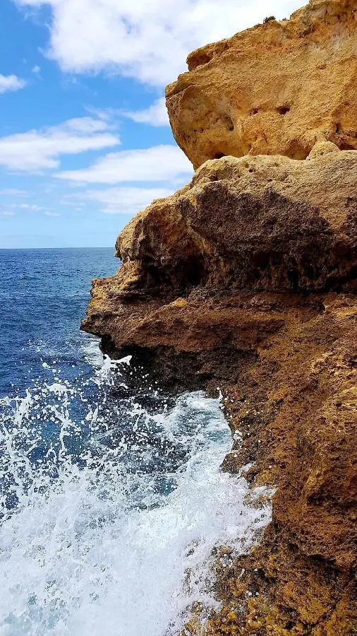 Albufeira Sea View Apartment